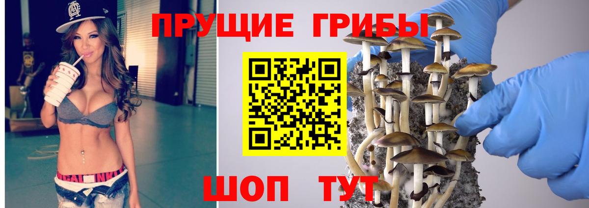 Троицк  Псилоцибиновые грибы Cubensis  Вход с VPN  Псилоцибиновые грибы Magic Shrooms 