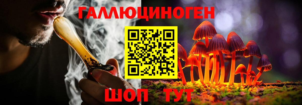 Псилоцибиновые грибы Cubensis Троицк